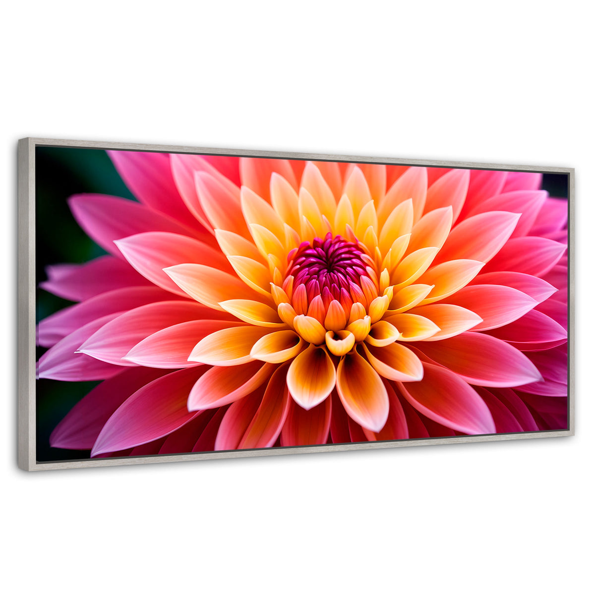 Cuadros Decorativos Canvas Revolution | Dahlia Vibrante | Panoramico | Portada | Marco Plateado