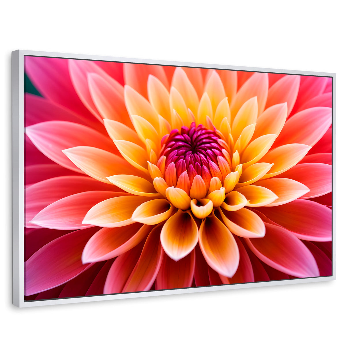 Cuadros Decorativos Canvas Revolution | Dahlia Vibrante | Rectangular | Portada | Marco Blanco