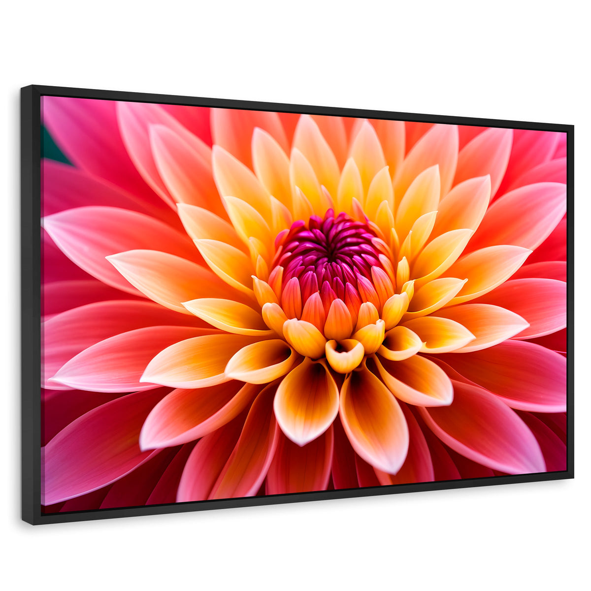 Cuadros Decorativos Canvas Revolution | Dahlia Vibrante | Rectangular | Portada | Marco Negro