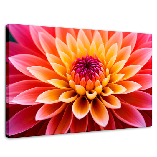 Cuadros Decorativos Canvas Revolution | Dahlia Vibrante | Rectangular | Portada | Marco SinMarco