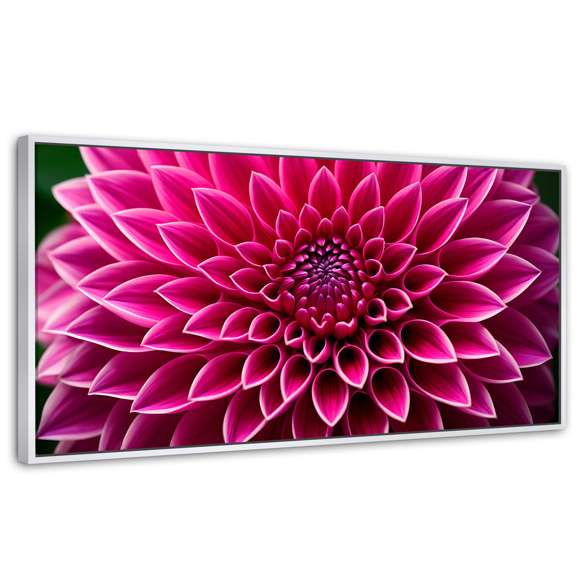 Cuadros Decorativos Canvas Revolution | Dalia Magenta Flor | Panoramico | Portada | Marco Blanco