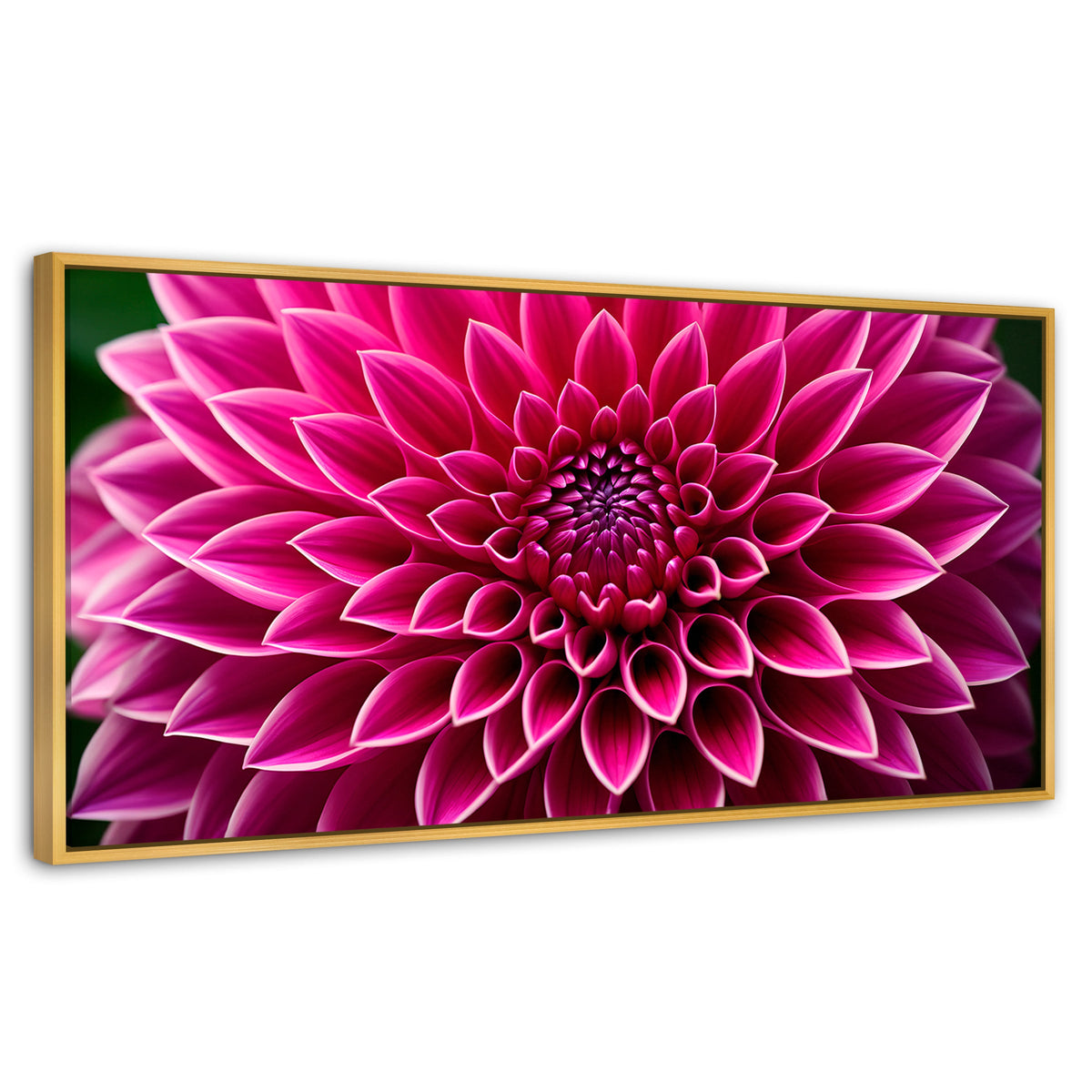 Cuadros Decorativos Canvas Revolution | Dalia Magenta Flor | Panoramico | Portada | Marco Dorado