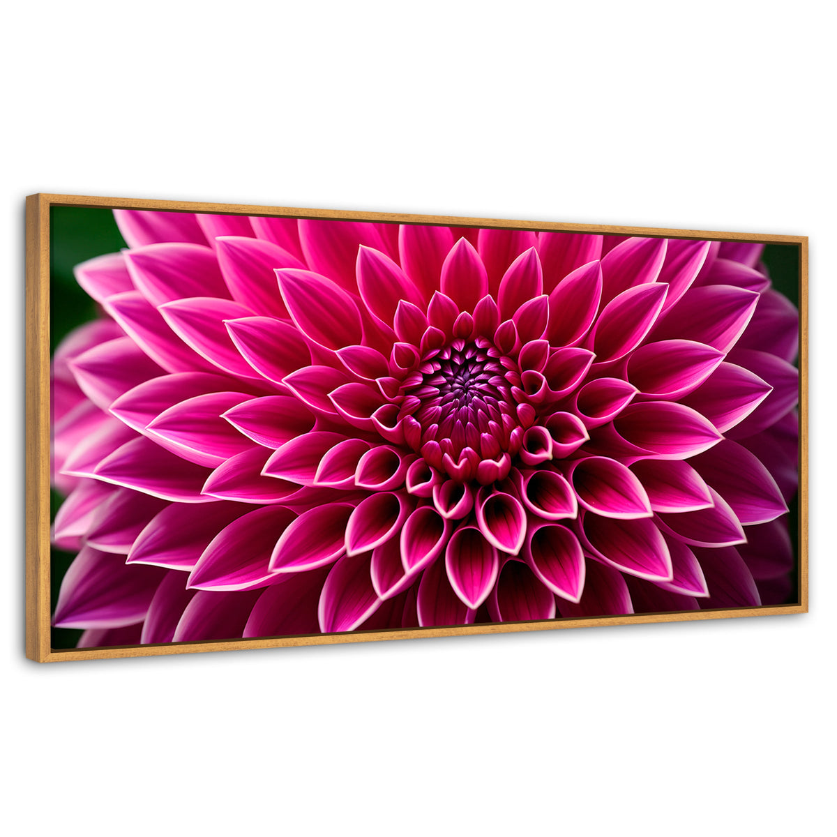 Cuadros Decorativos Canvas Revolution | Dalia Magenta Flor | Panoramico | Portada | Marco Madera