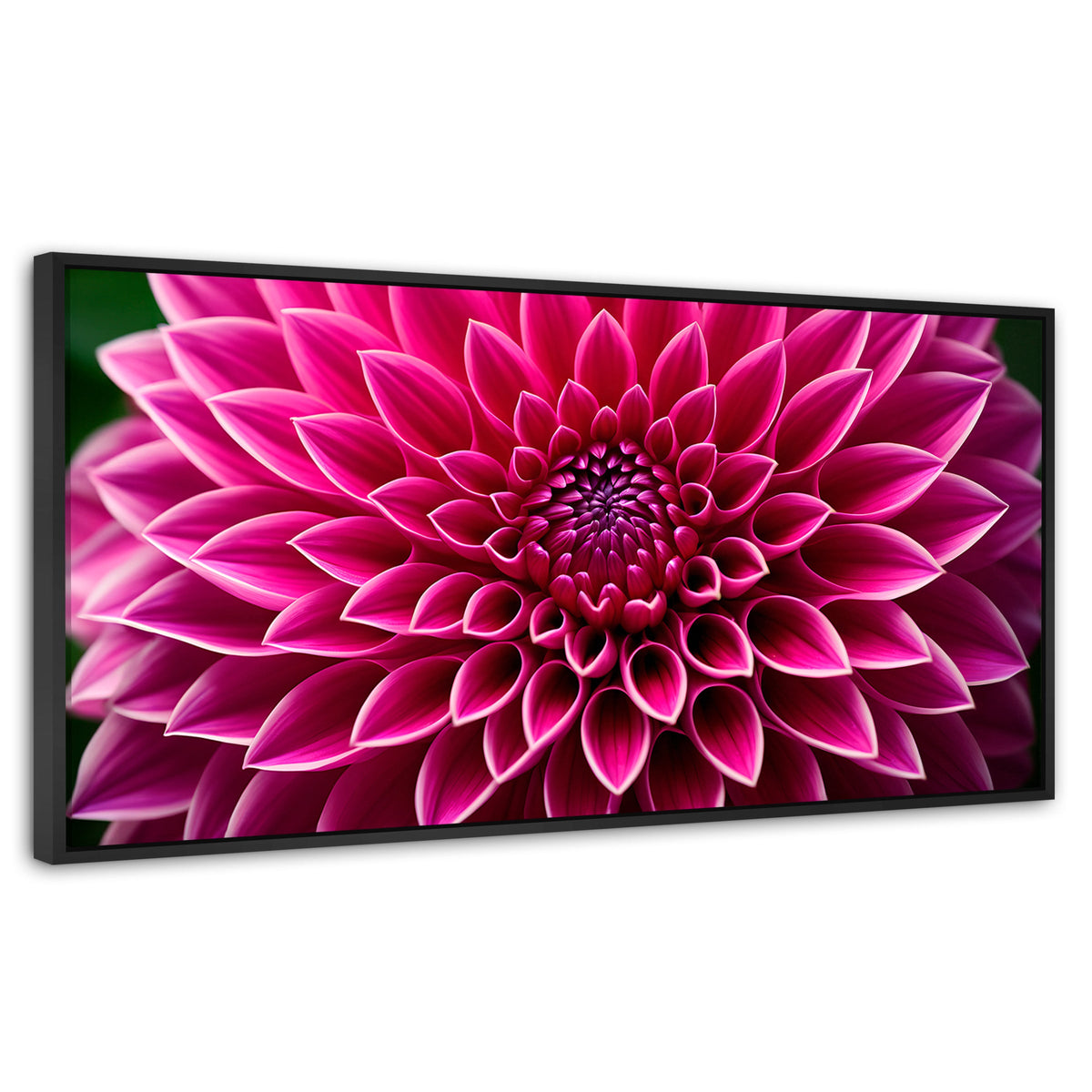 Cuadros Decorativos Canvas Revolution | Dalia Magenta Flor | Panoramico | Portada | Marco Negro