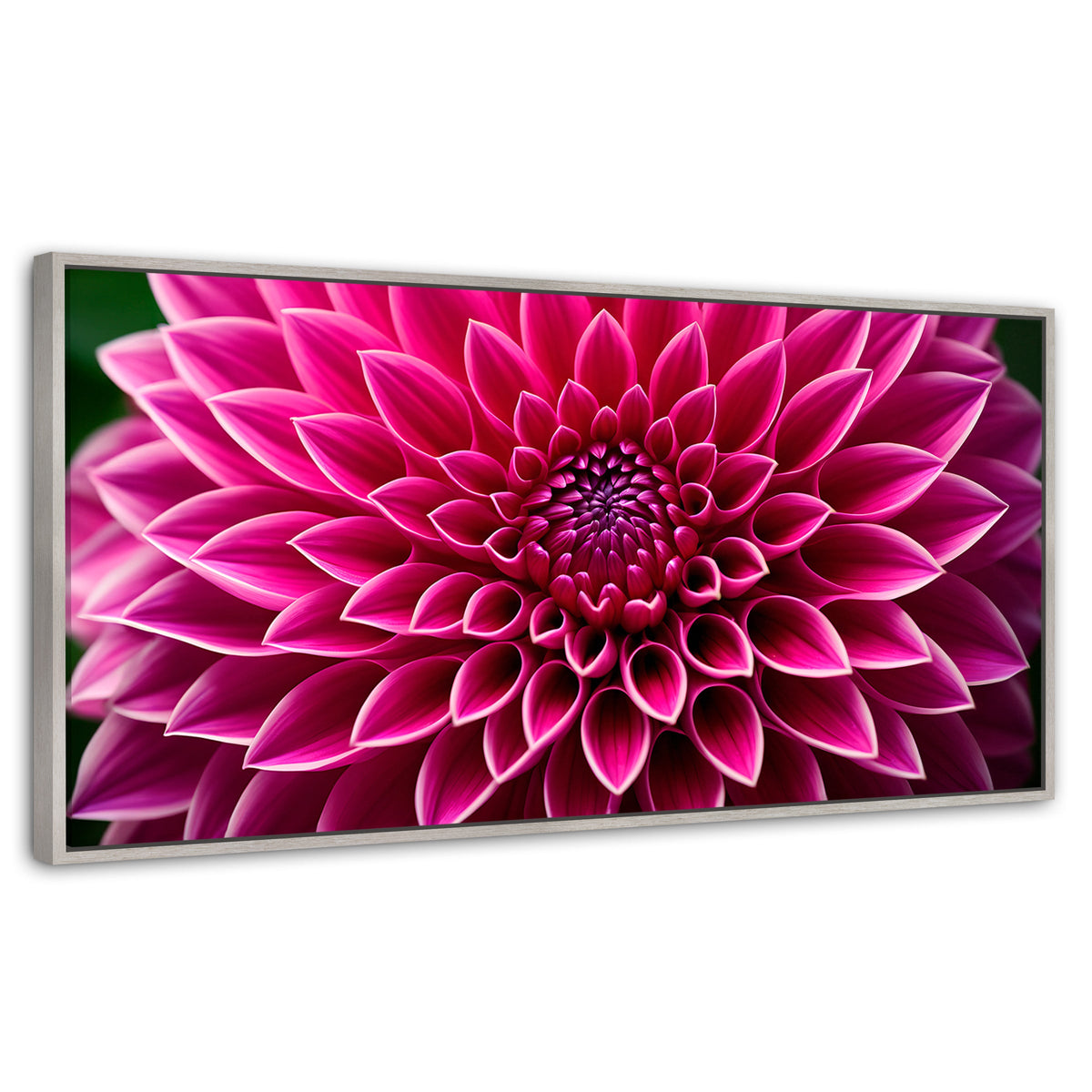Cuadros Decorativos Canvas Revolution | Dalia Magenta Flor | Panoramico | Portada | Marco Plateado