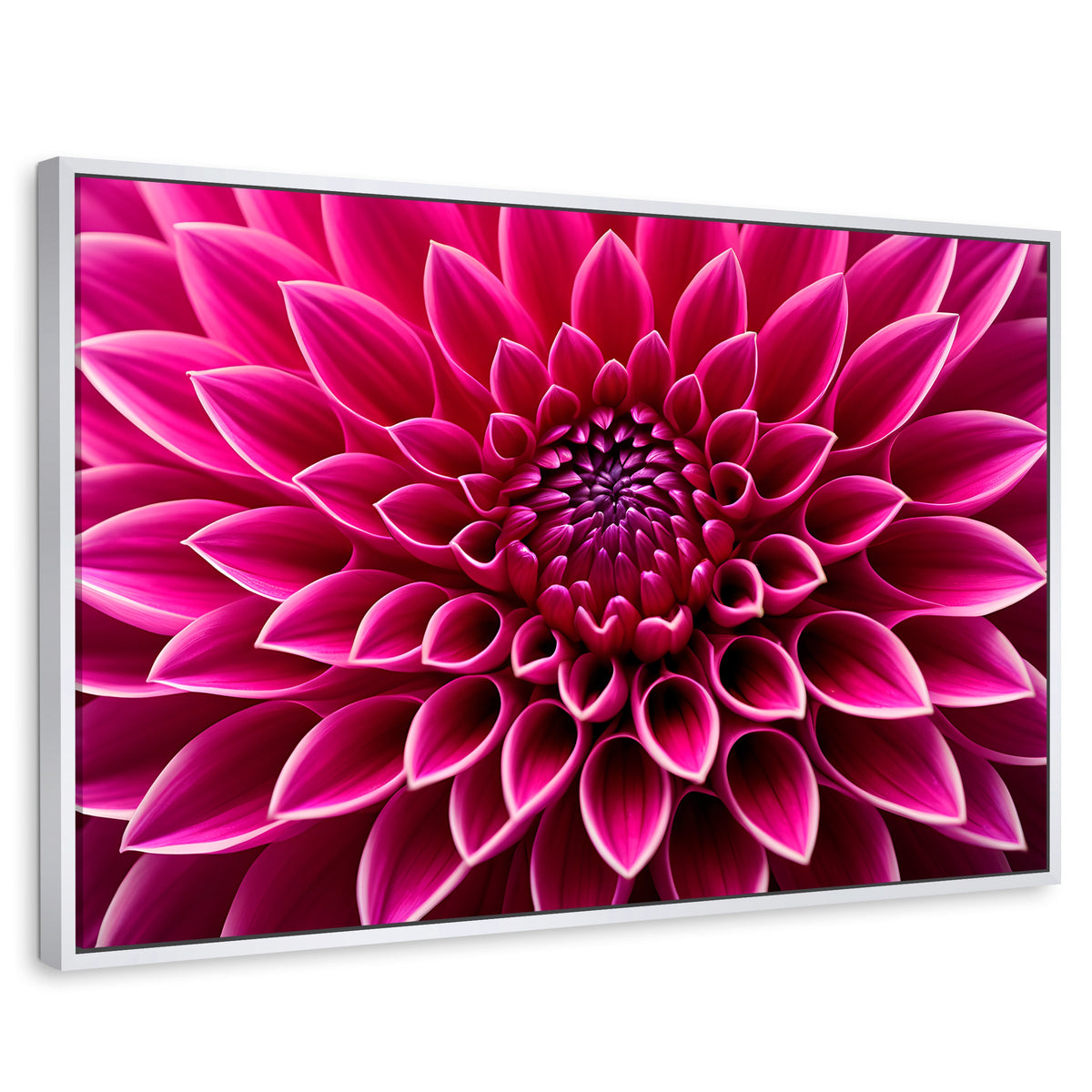 Cuadros Decorativos Canvas Revolution | Dalia Magenta Flor | Rectangular | Portada | Marco Blanco