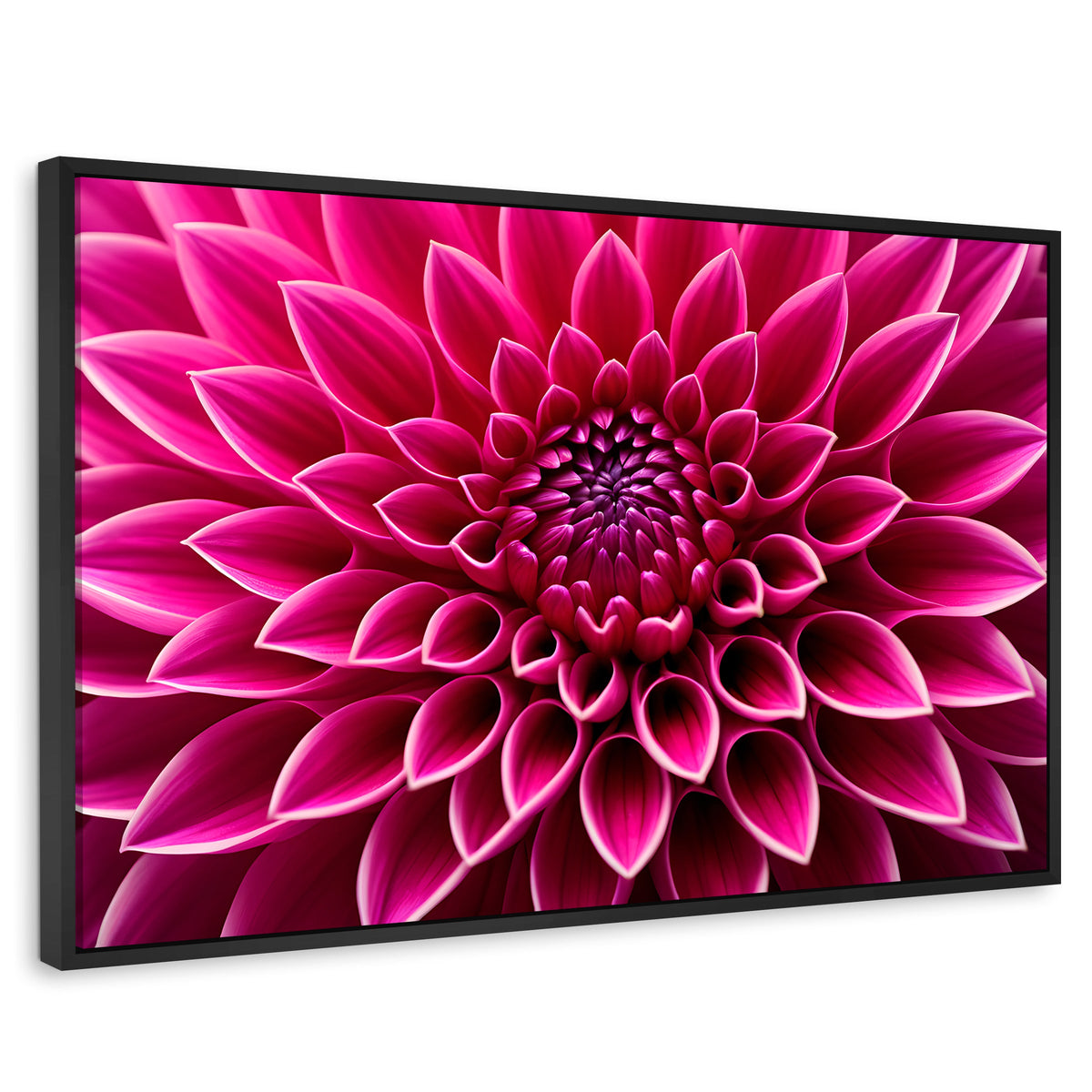 Cuadros Decorativos Canvas Revolution | Dalia Magenta Flor | Rectangular | Portada | Marco Negro