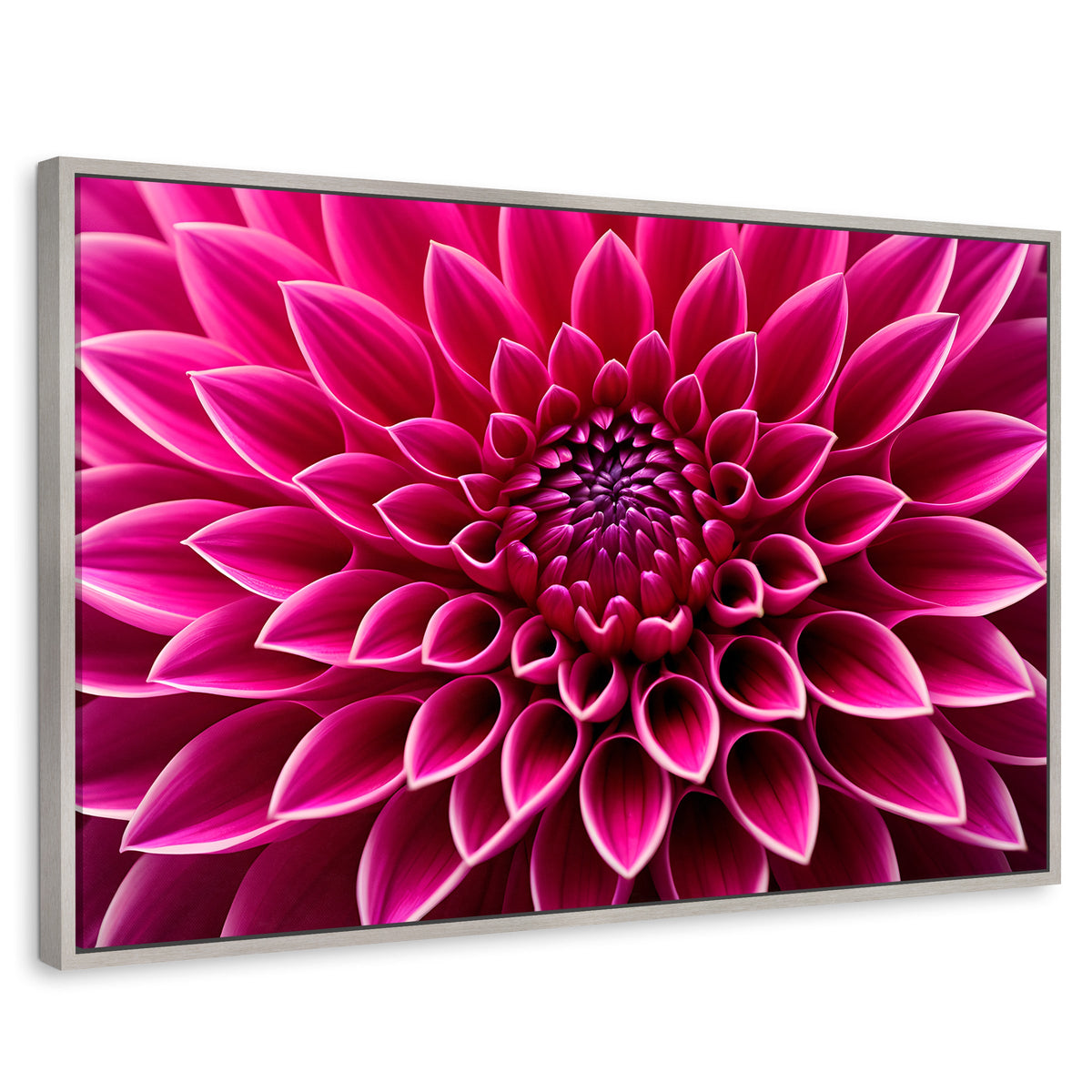 Cuadros Decorativos Canvas Revolution | Dalia Magenta Flor | Rectangular | Portada | Marco Plateado