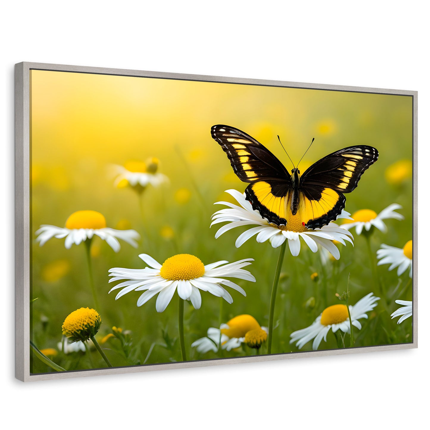 Cuadros Decorativos Canvas Revolution | Danza Entre Flores | Rectangular | Portada | Marco Plateado