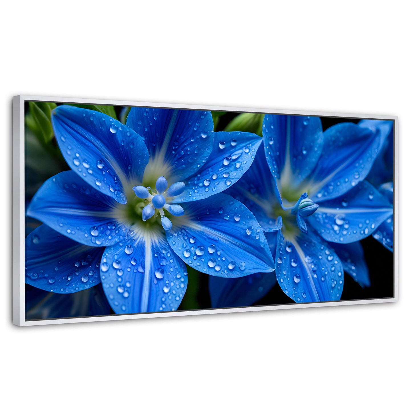 Cuadros Decorativos Canvas Revolution | Delphinium Azul | Panoramico | Portada | Marco Blanco