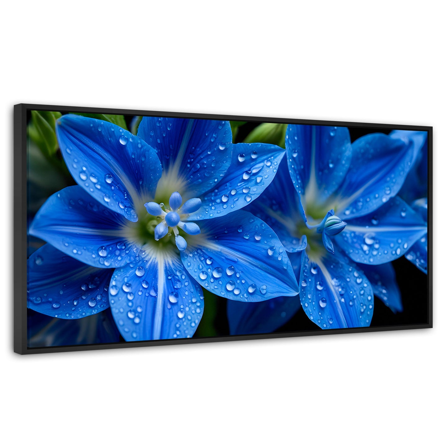 Cuadros Decorativos Canvas Revolution | Delphinium Azul | Panoramico | Portada | Marco Negro