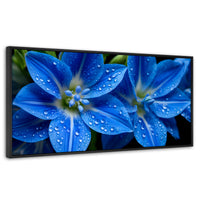 Cuadros Decorativos Canvas Revolution | Delphinium Azul | Panoramico | Portada | Marco Negro