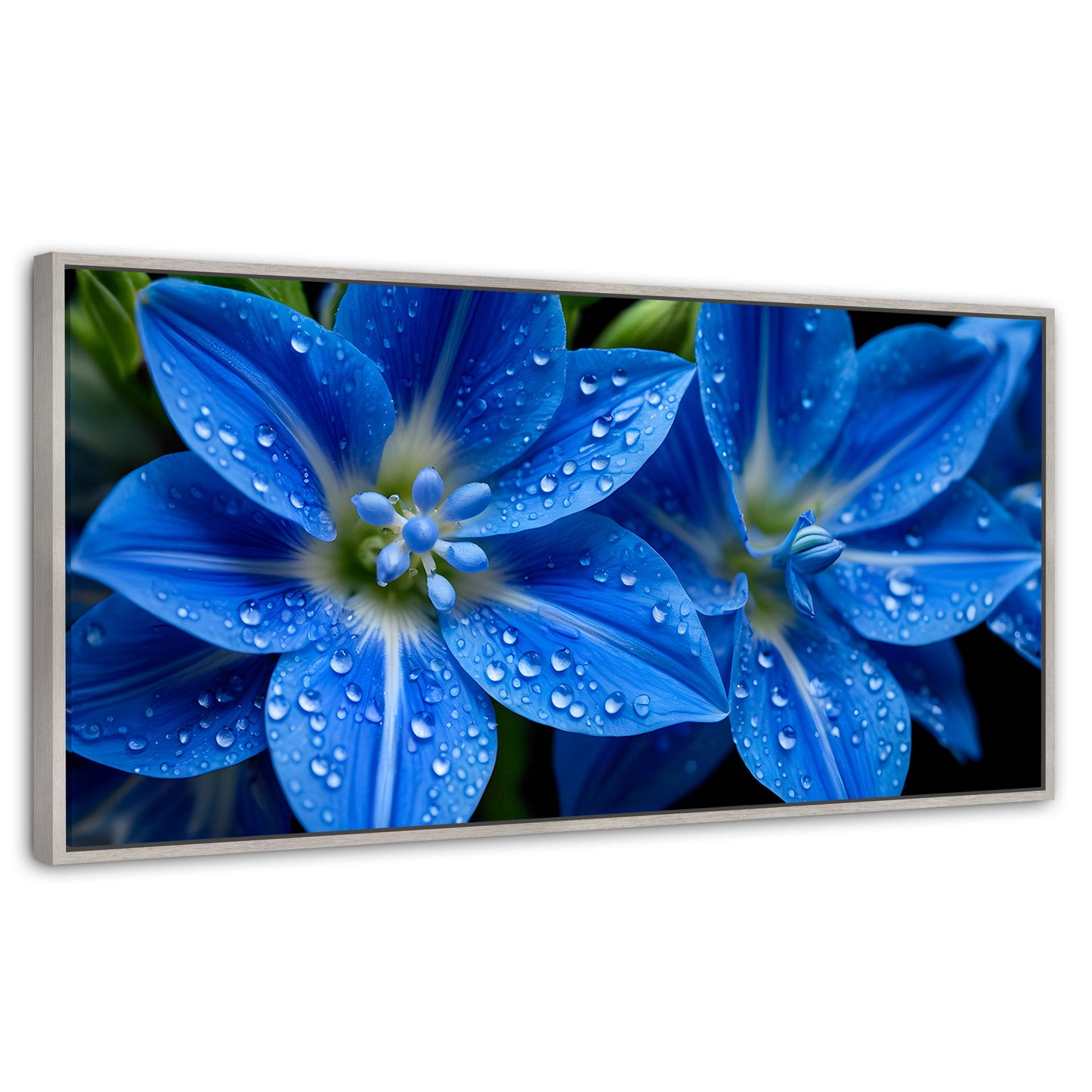 Cuadros Decorativos Canvas Revolution | Delphinium Azul | Panoramico | Portada | Marco Plateado