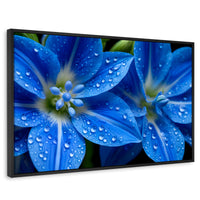 Cuadros Decorativos Canvas Revolution | Delphinium Azul | Rectangular | Portada | Marco Negro