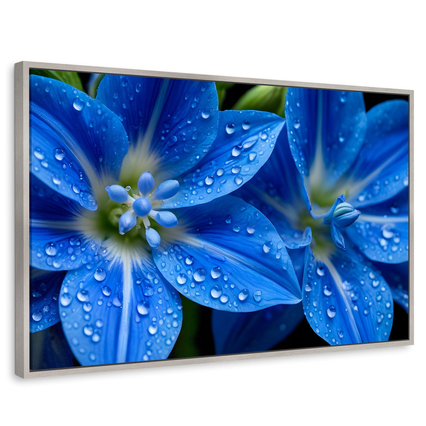 Cuadros Decorativos Canvas Revolution | Delphinium Azul | Rectangular | Portada | Marco Plateado