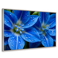 Cuadros Decorativos Canvas Revolution | Delphinium Azul | Rectangular | Portada | Marco Plateado