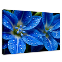 Cuadros Decorativos Canvas Revolution | Delphinium Azul | Rectangular | Portada | Marco SinMarco