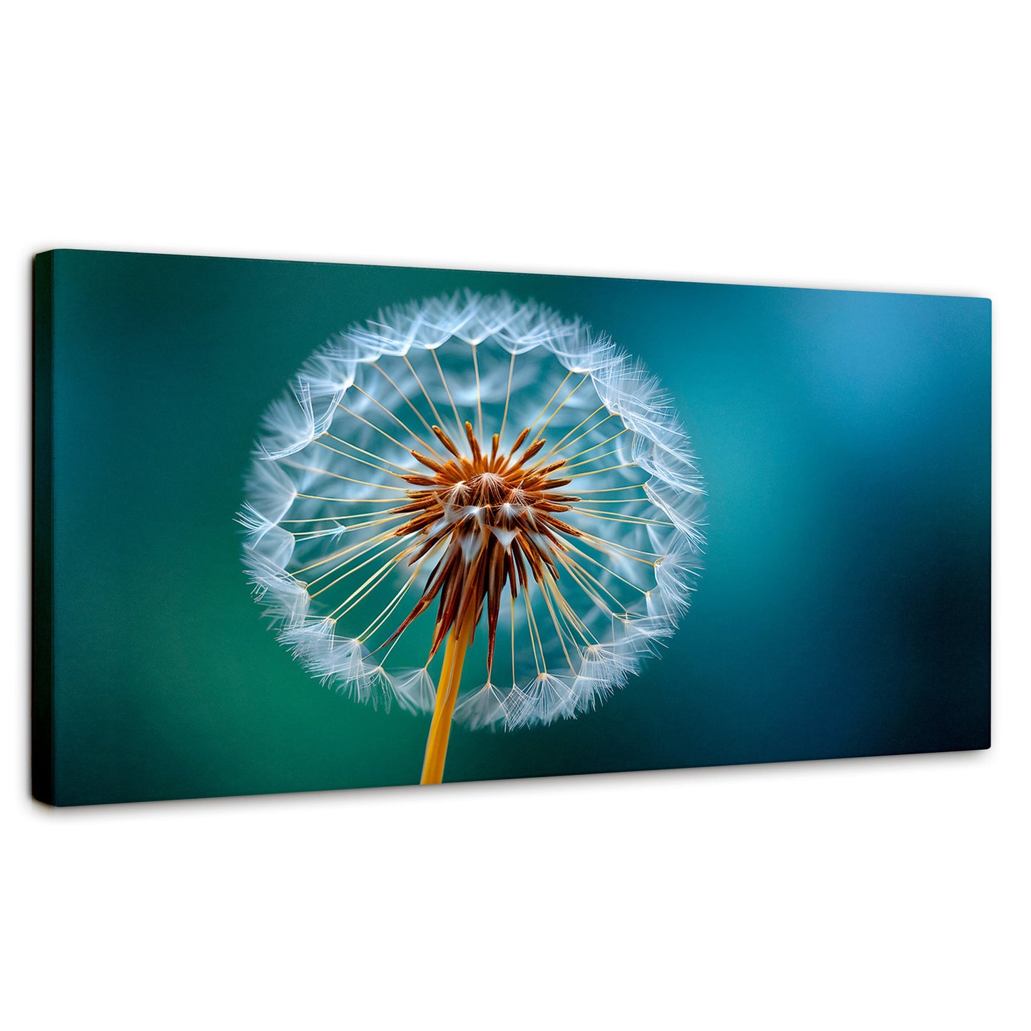 Cuadros Decorativos Canvas Revolution | Esencia Del Viento | Panoramico | Portada | Marco SinMarco