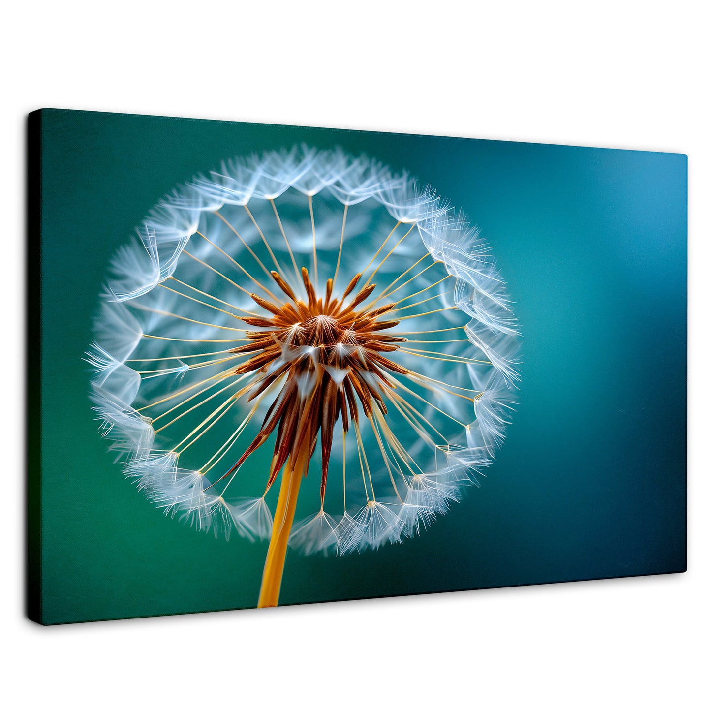 Cuadros Decorativos Canvas Revolution | Esencia Del Viento | Rectangular | Portada | Marco SinMarco