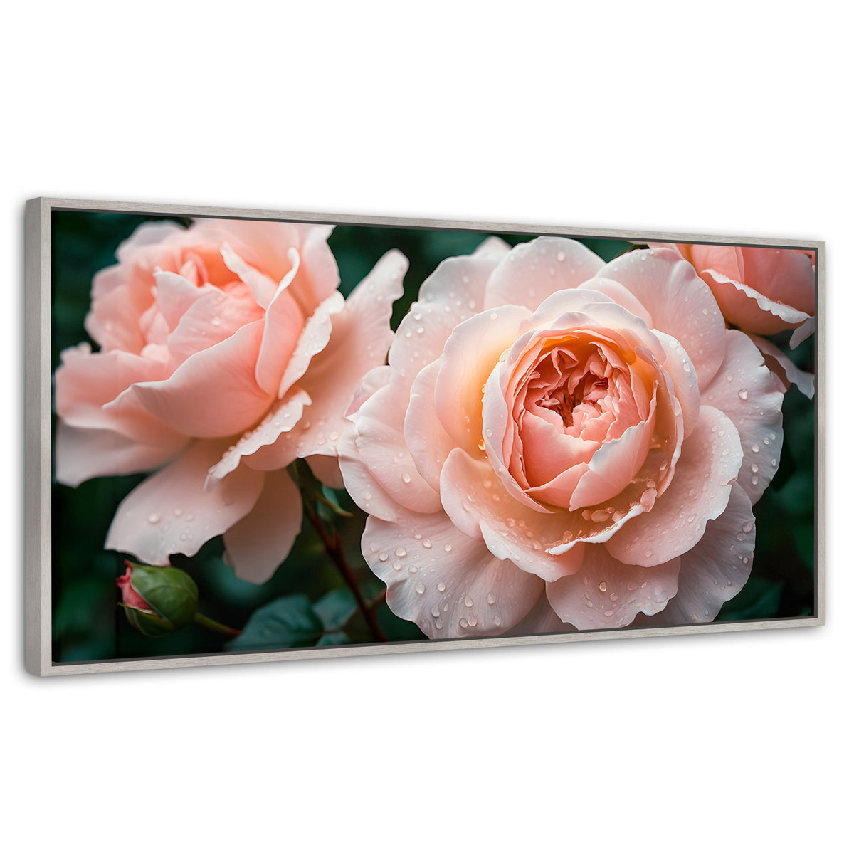 Cuadros Decorativos Canvas Revolution | Eterna Rosa Inglesa | Panoramico | Portada