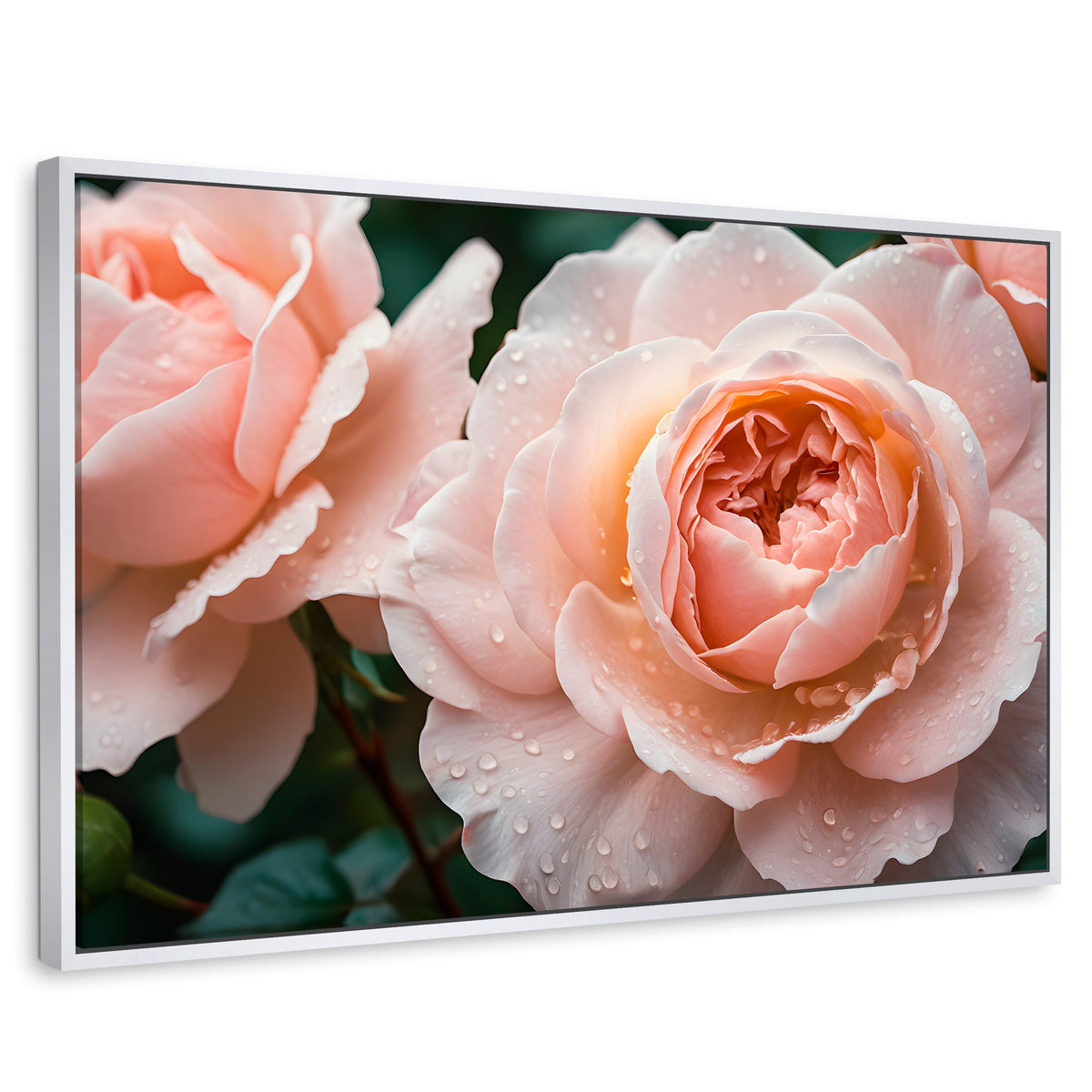 Cuadros Decorativos Canvas Revolution | Eterna Rosa Inglesa | Rectangular | Portada