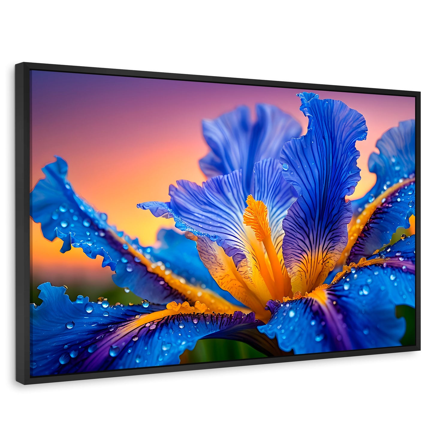 Cuadros Decorativos Canvas Revolution | Flor Iris Divino | Rectangular | Portada | Marco Negro