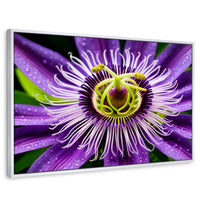 Cuadros Decorativos Canvas Revolution | Flor Pasion Eterna | Rectangular | Portada | Marco Blanco