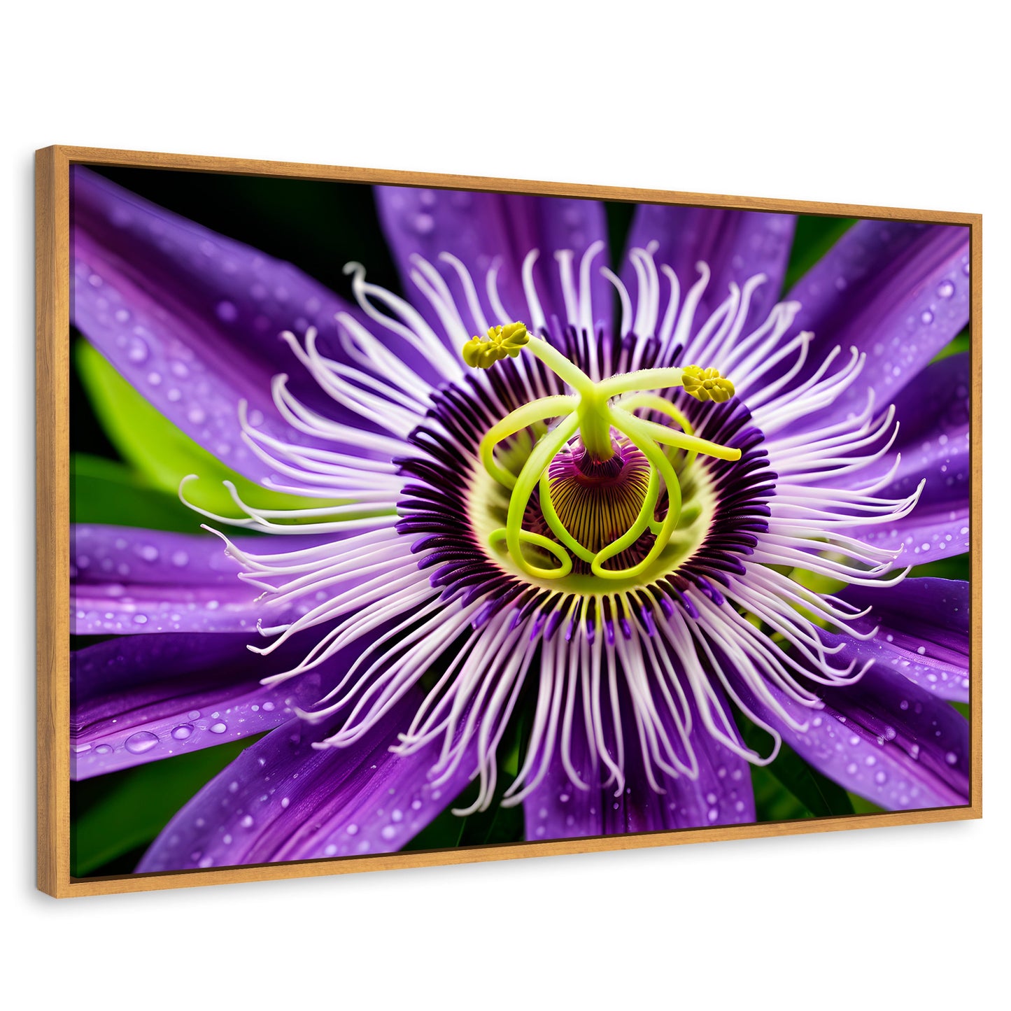 Cuadros Decorativos Canvas Revolution | Flor Pasion Eterna | Rectangular | Portada | Marco Madera