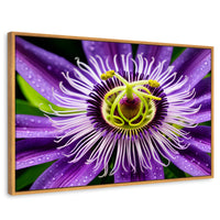 Cuadros Decorativos Canvas Revolution | Flor Pasion Eterna | Rectangular | Portada | Marco Madera