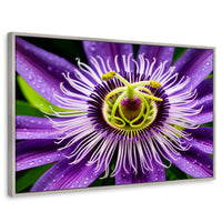 Cuadros Decorativos Canvas Revolution | Flor Pasion Eterna | Rectangular | Portada | Marco Plateado