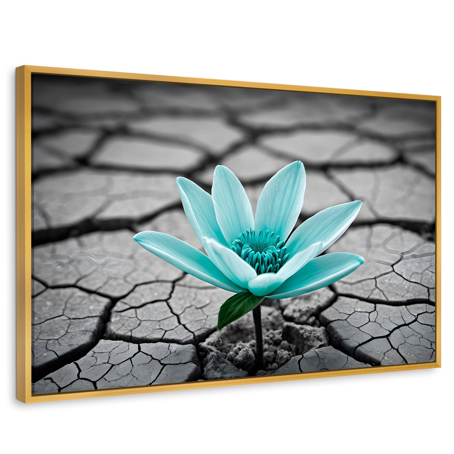 Cuadros Decorativos Canvas Revolution | Flor Sobre Piedra | Rectangular | Portada | Marco Dorado