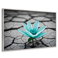 Cuadros Decorativos Canvas Revolution | Flor Sobre Piedra | Rectangular | Portada | Marco Plateado