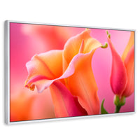 Cuadros Decorativos Canvas Revolution | Fragancia De Dragon | Rectangular | Portada | Marco Blanco