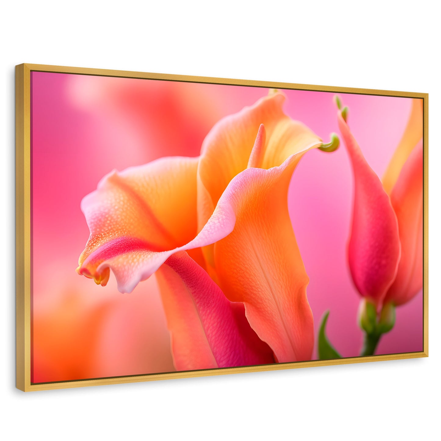 Cuadros Decorativos Canvas Revolution | Fragancia De Dragon | Rectangular | Portada | Marco Dorado