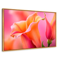 Cuadros Decorativos Canvas Revolution | Fragancia De Dragon | Rectangular | Portada | Marco Madera