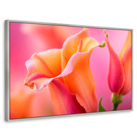 Cuadros Decorativos Canvas Revolution | Fragancia De Dragon | Rectangular | Portada | Marco Plateado