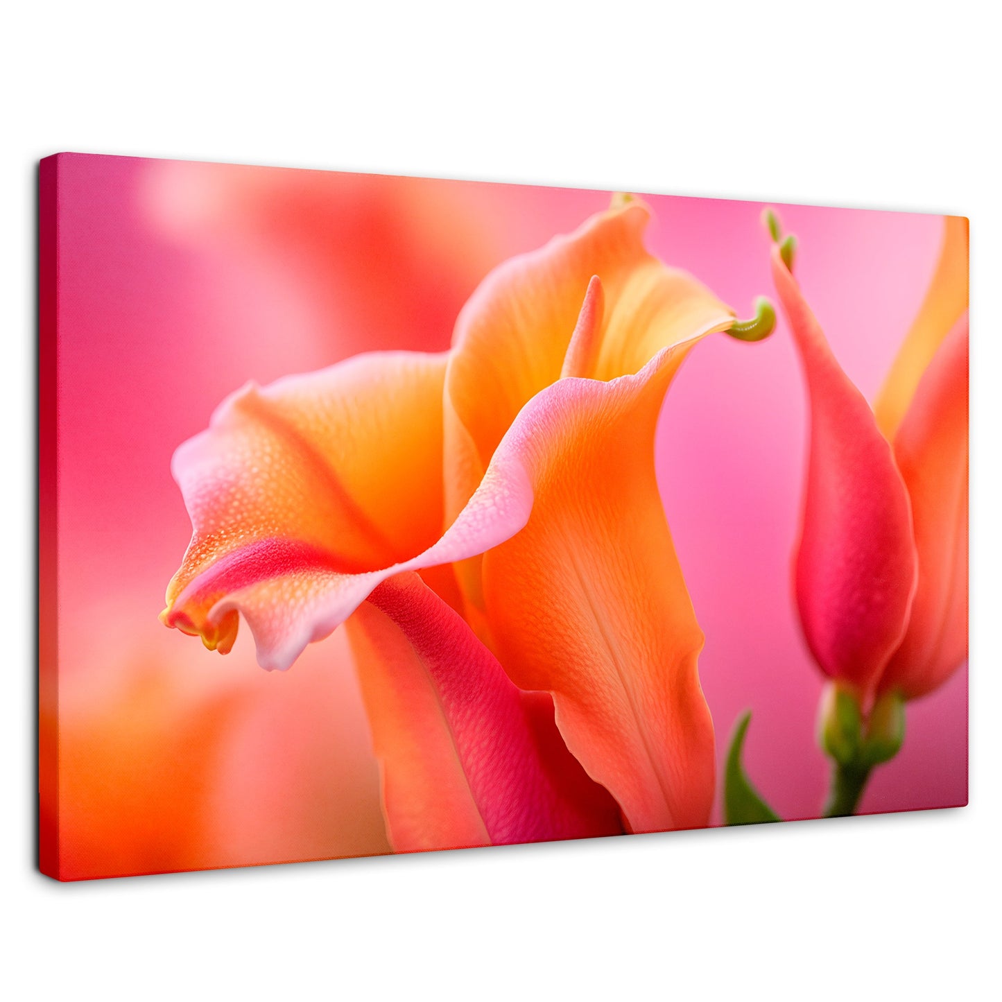 Cuadros Decorativos Canvas Revolution | Fragancia De Dragon | Rectangular | Portada | Marco SinMarco