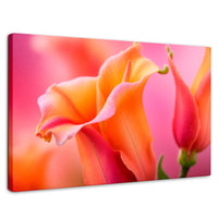 Cuadros Decorativos Canvas Revolution | Fragancia De Dragon | Rectangular | Portada | Marco SinMarco