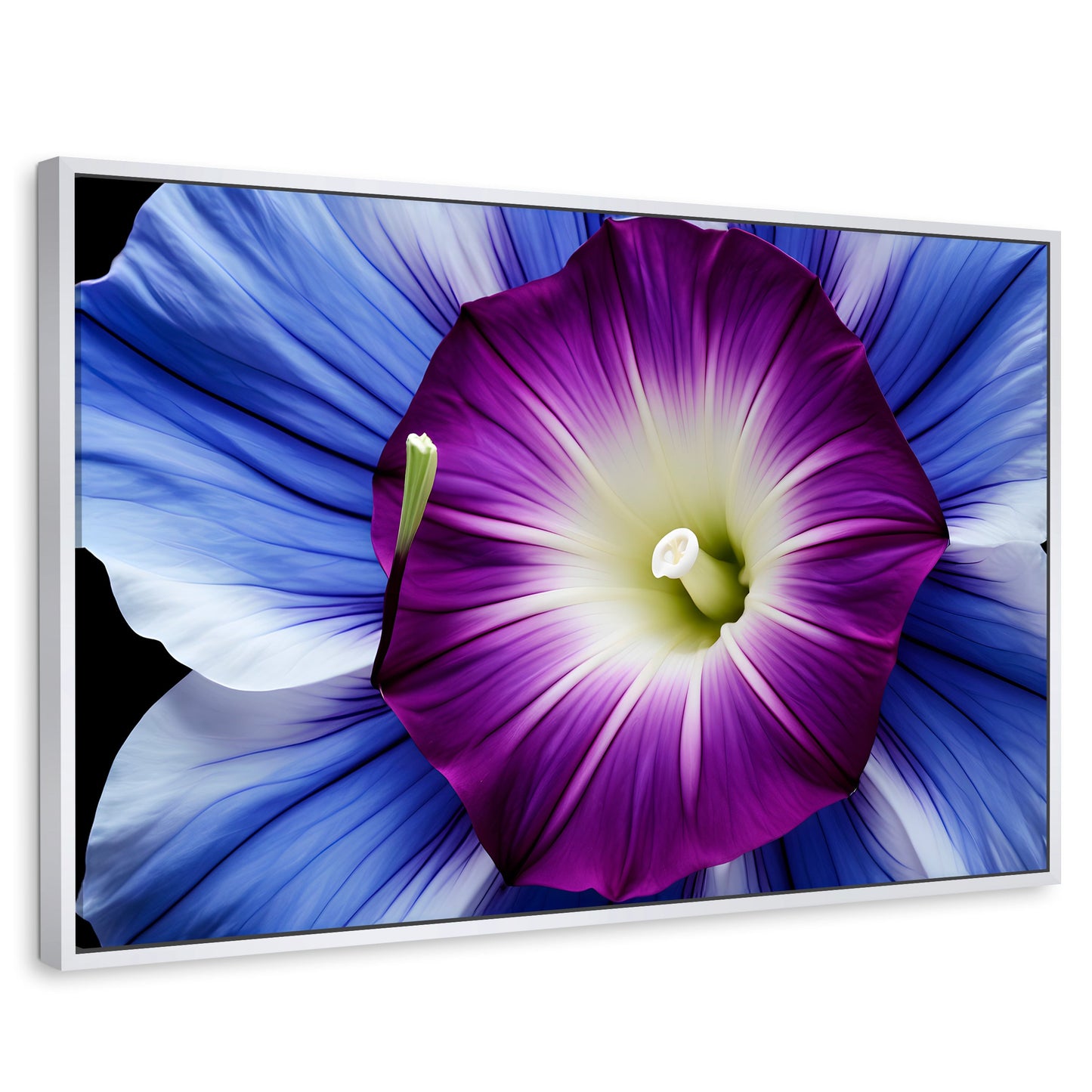Cuadros Decorativos Canvas Revolution | Fulgor De La Manana | Rectangular | Portada | Marco Blanco