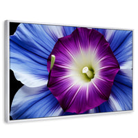 Cuadros Decorativos Canvas Revolution | Fulgor De La Manana | Rectangular | Portada | Marco Blanco