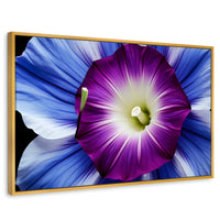 Cuadros Decorativos Canvas Revolution | Fulgor De La Manana | Rectangular | Portada | Marco Dorado