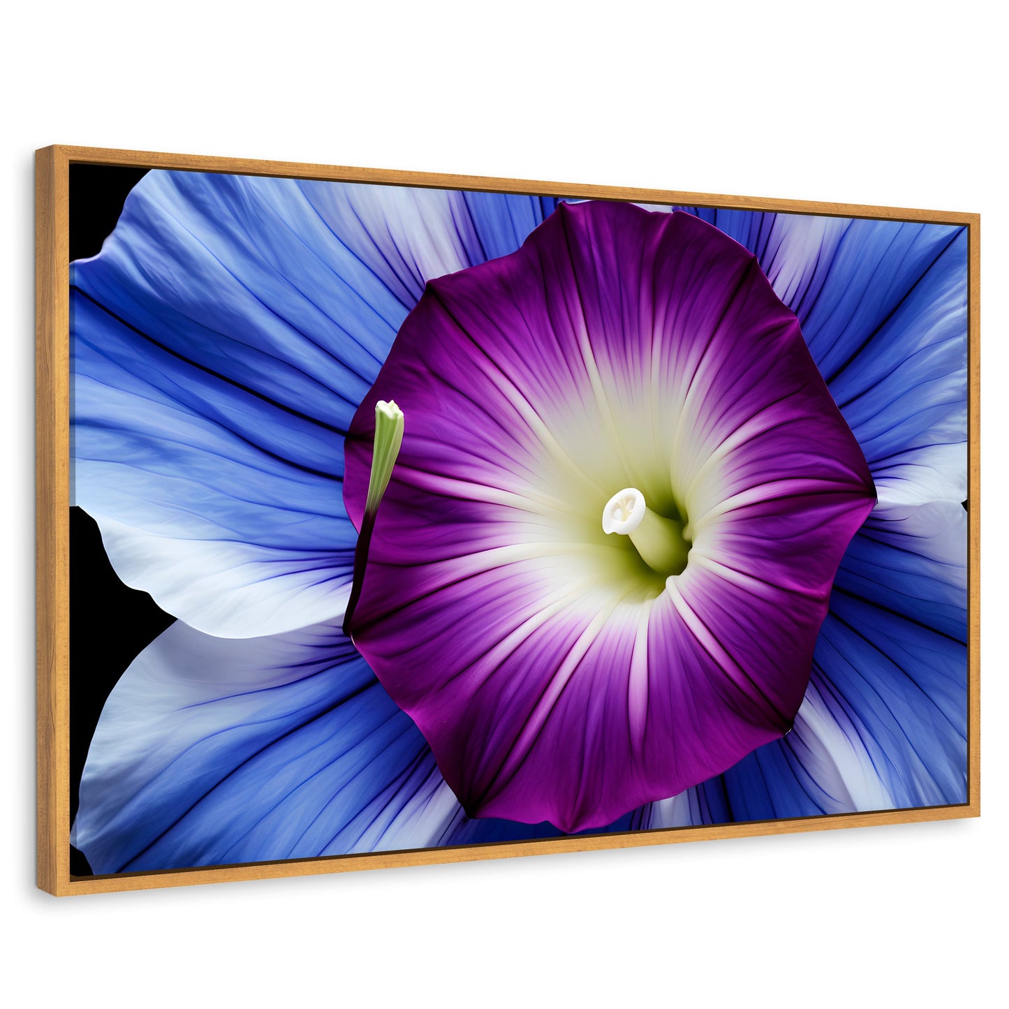 Cuadros Decorativos Canvas Revolution | Fulgor De La Manana | Rectangular | Portada | Marco Madera
