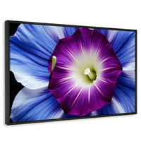 Cuadros Decorativos Canvas Revolution | Fulgor De La Manana | Rectangular | Portada | Marco Negro