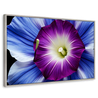 Cuadros Decorativos Canvas Revolution | Fulgor De La Manana | Rectangular | Portada | Marco Plateado