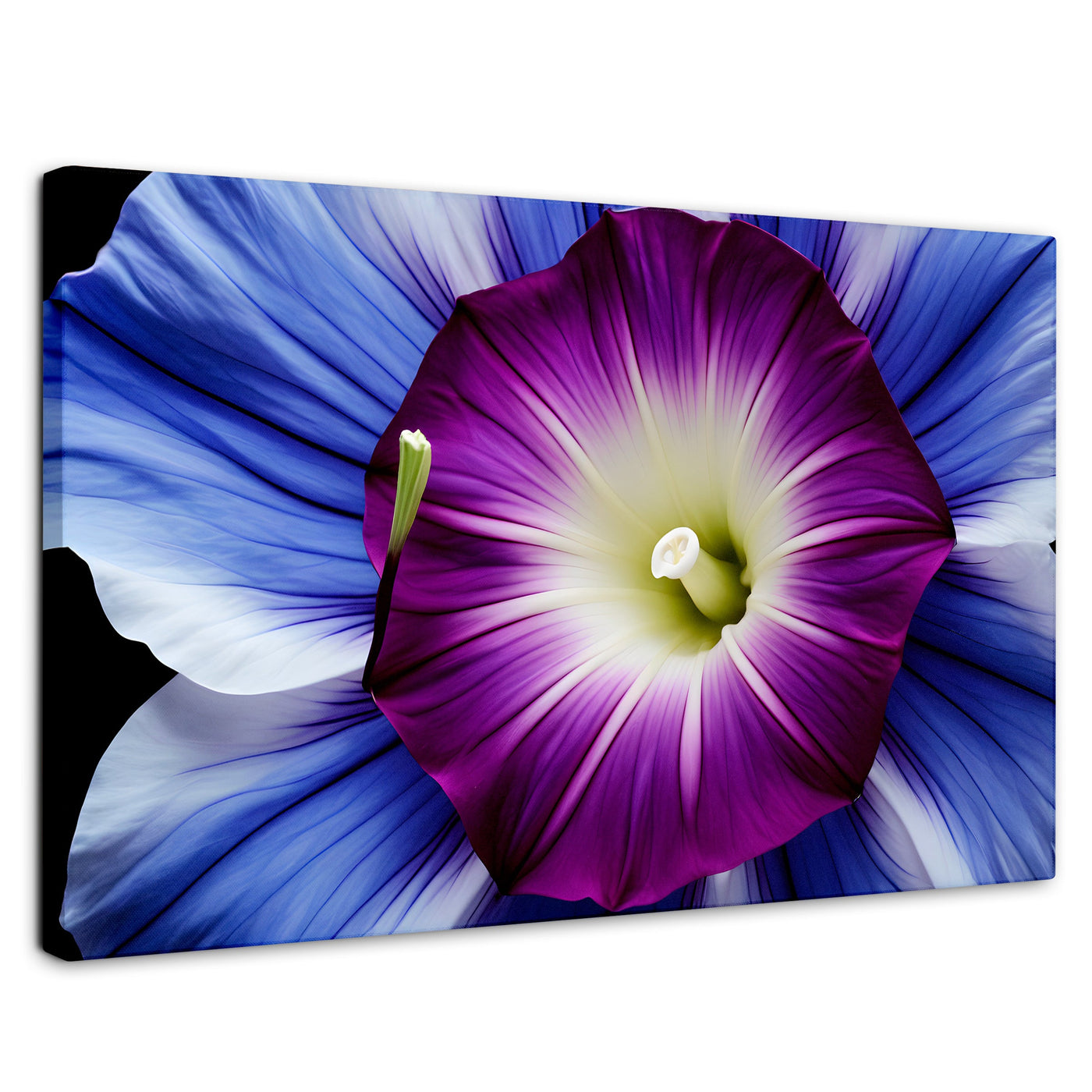 Cuadros Decorativos Canvas Revolution | Fulgor De La Manana | Rectangular | Portada | Marco SinMarco
