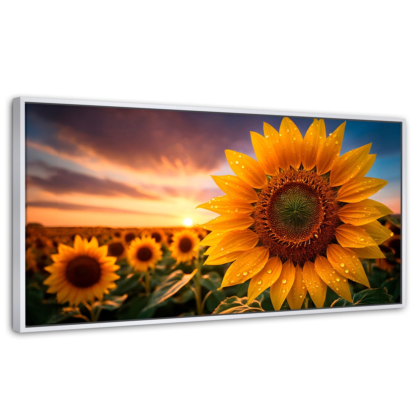 Cuadros Decorativos Canvas Revolution | Girasol Atardecer | Panoramico | Portada | Marco Blanco