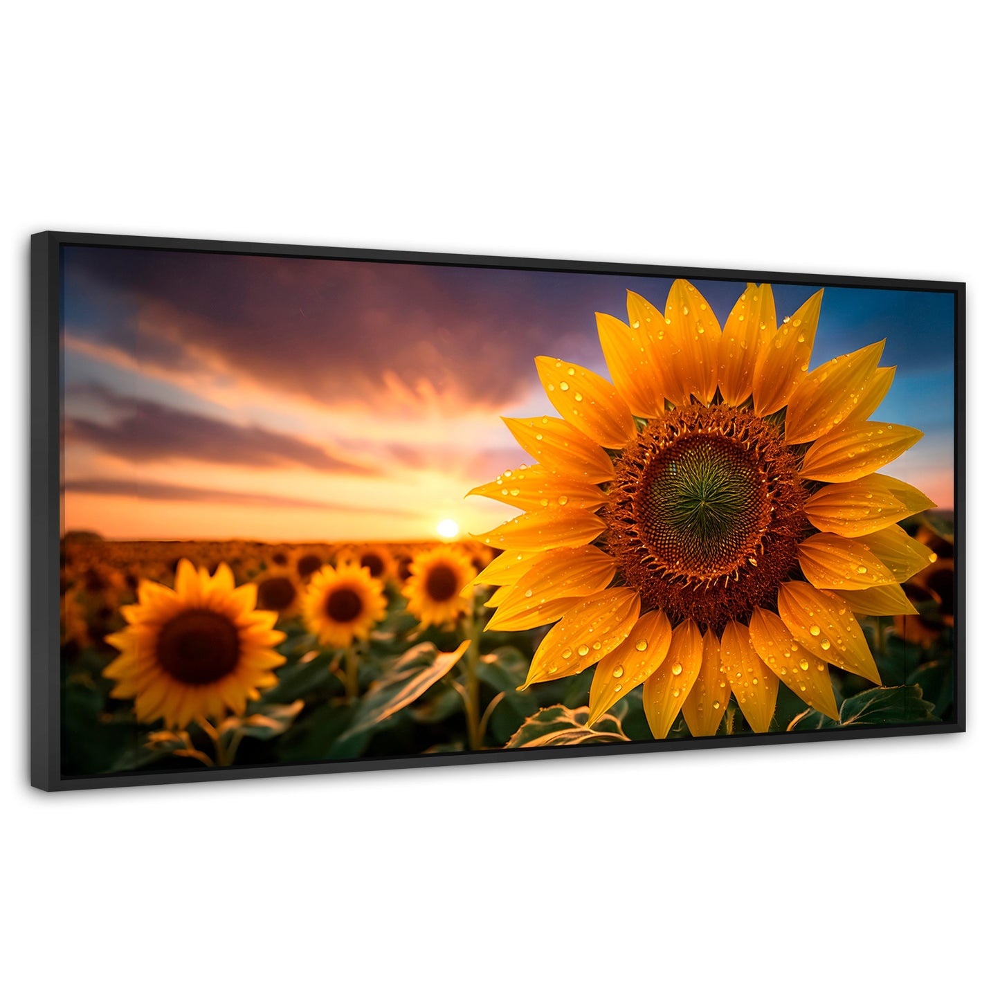 Cuadros Decorativos Canvas Revolution | Girasol Atardecer | Panoramico | Portada | Marco Negro