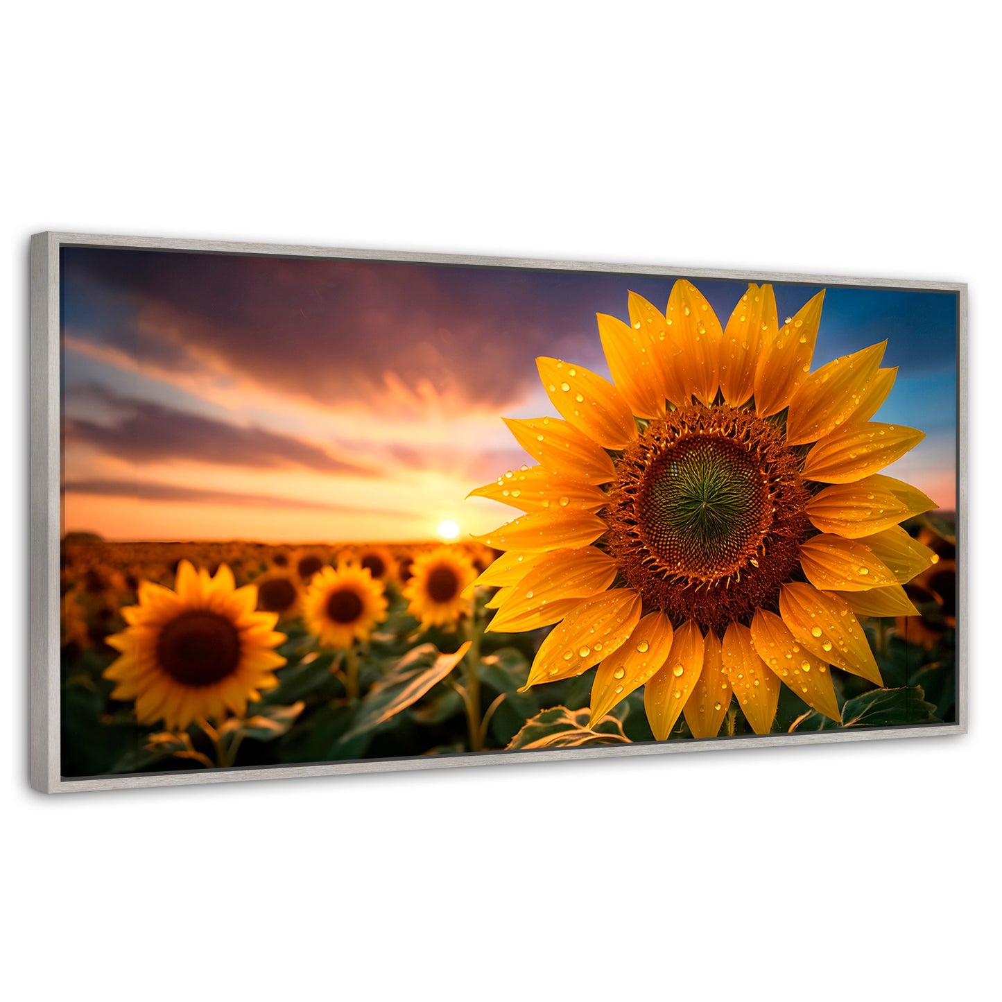 Cuadros Decorativos Canvas Revolution | Girasol Atardecer | Panoramico | Portada | Marco Plateado
