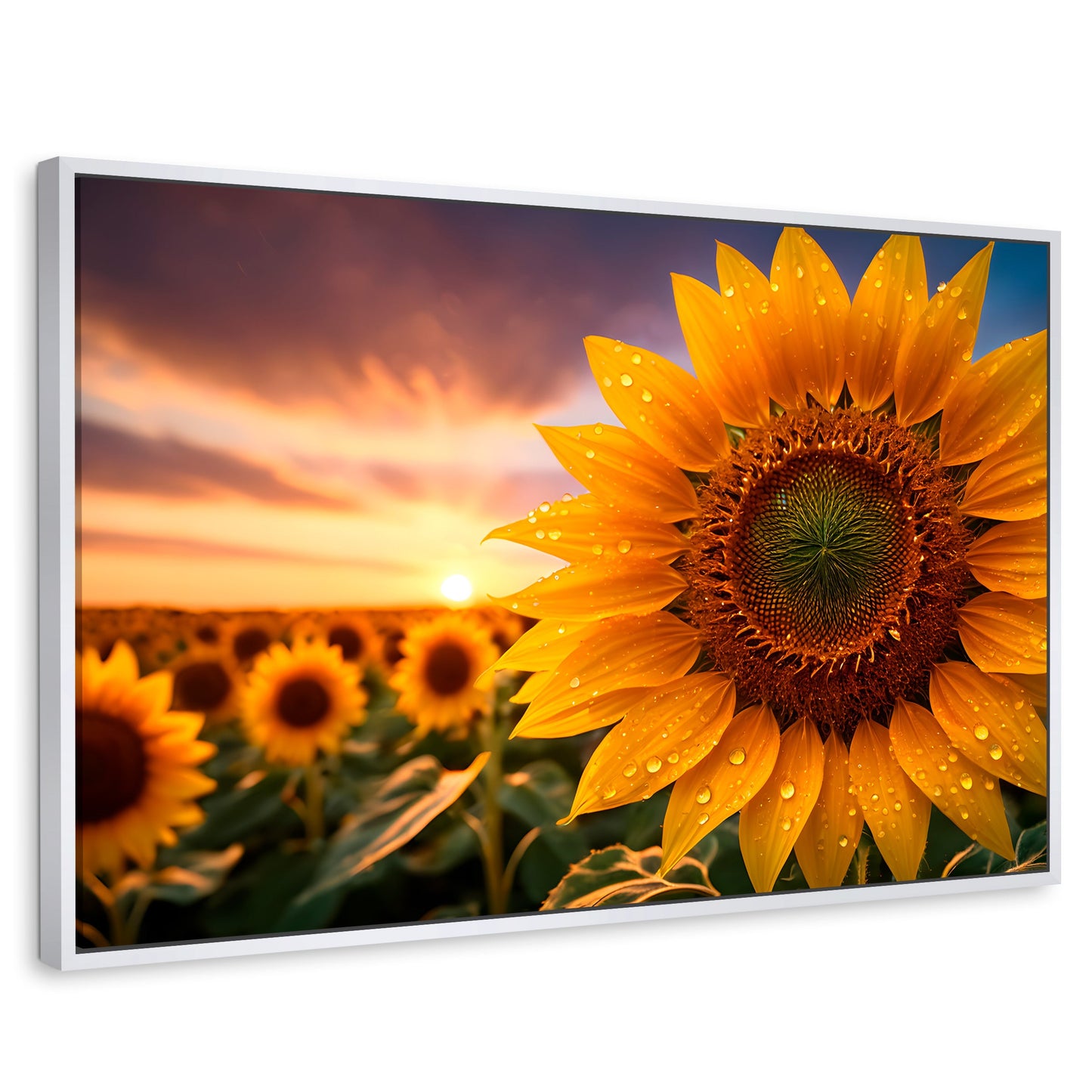 Cuadros Decorativos Canvas Revolution | Girasol Atardecer | Rectangular | Portada | Marco Blanco