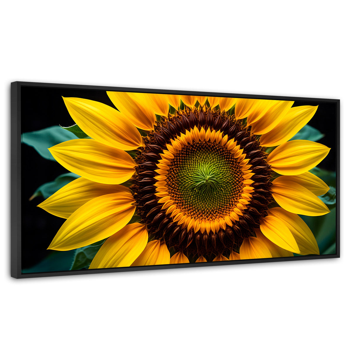 Cuadros Decorativos Canvas Revolution | Girasol Cercano | Panoramico | Portada | Marco Negro